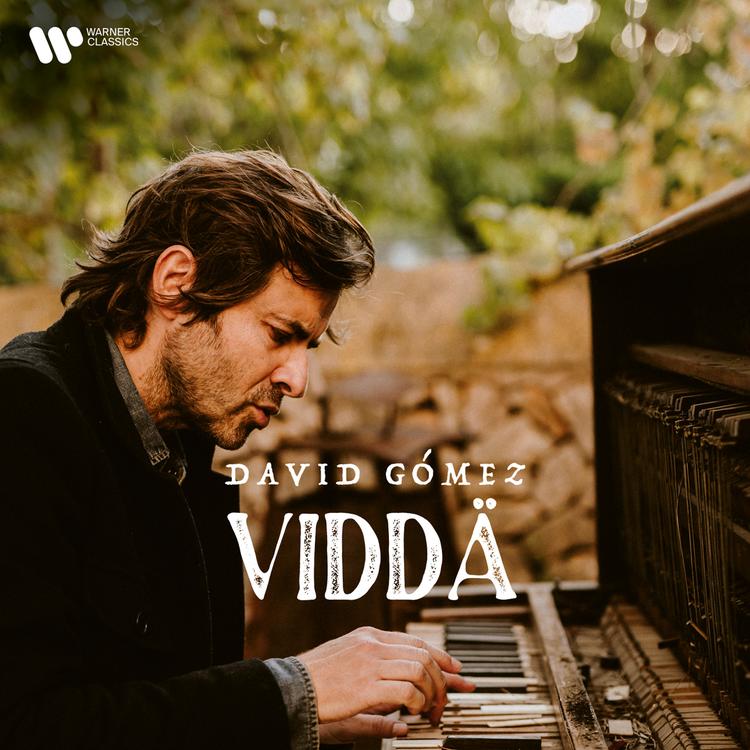 David Gómez's avatar image