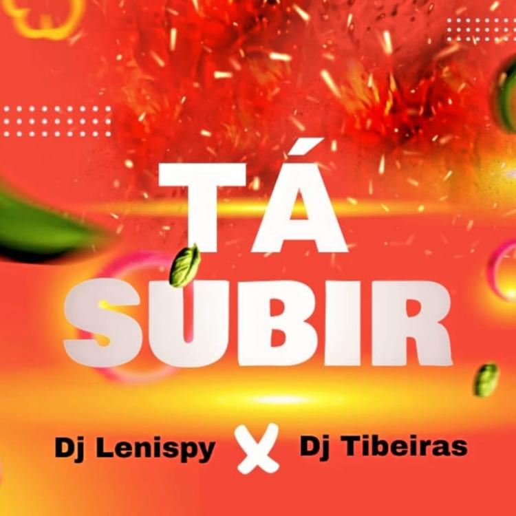 DJ TIBEIRAS's avatar image