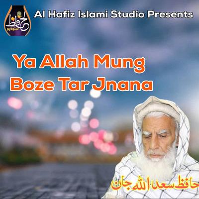 Hafiz Saad Ullah Jan's cover