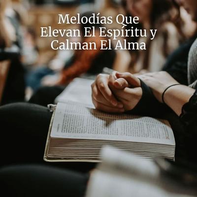 Melodías Que Elevan El Espíritu y Calman El Alma's cover