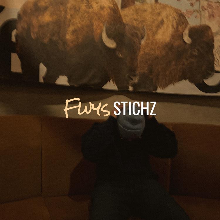 Stichz's avatar image