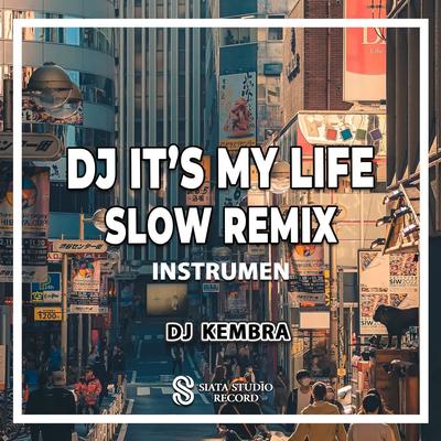 DJ It's My Life Slow Remix (Ins)'s cover