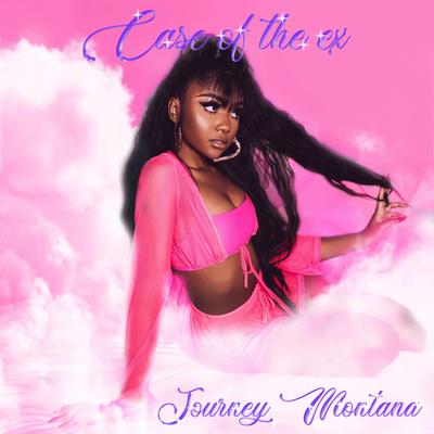 Case Of The Ex By Journey Montana's cover