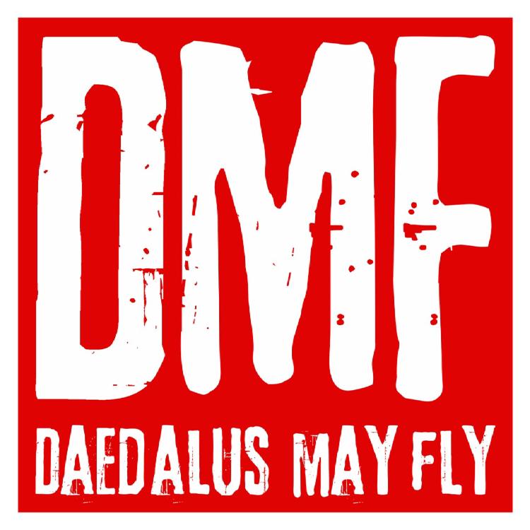 Daedalus May Fly's avatar image