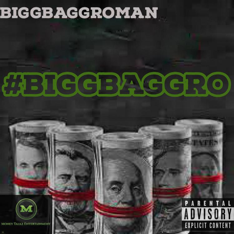 BiggBaggROMAN's avatar image