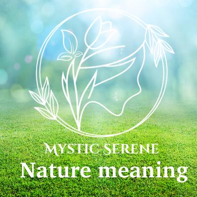 Nature Meaning's cover