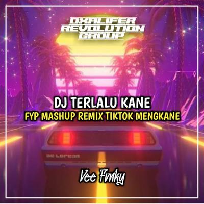 DJ TERLALU KANE (INS)'s cover