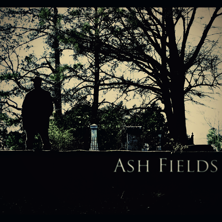 Ash Fields's avatar image