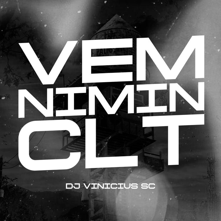 dj vinicius sc's avatar image