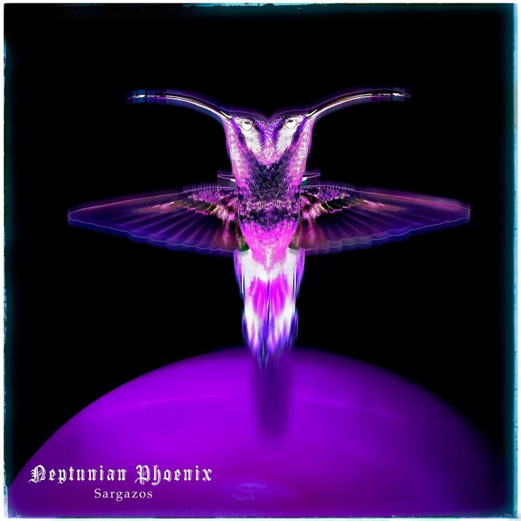 Neptunian Phoenix's avatar image