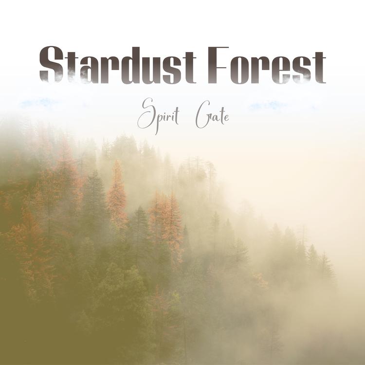 Stardust Forest's avatar image