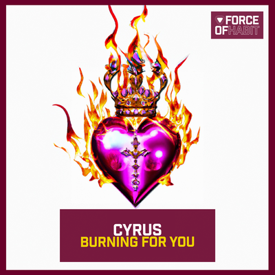 Burning for You By Cyrus's cover