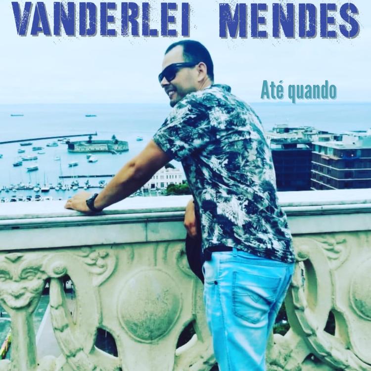 Vanderlei Mendes's avatar image