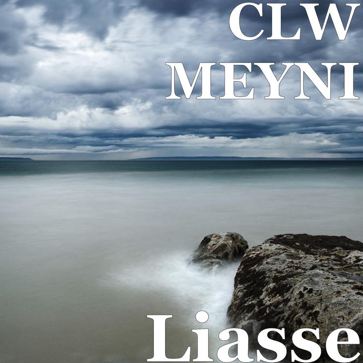 CLW MEYNI's avatar image