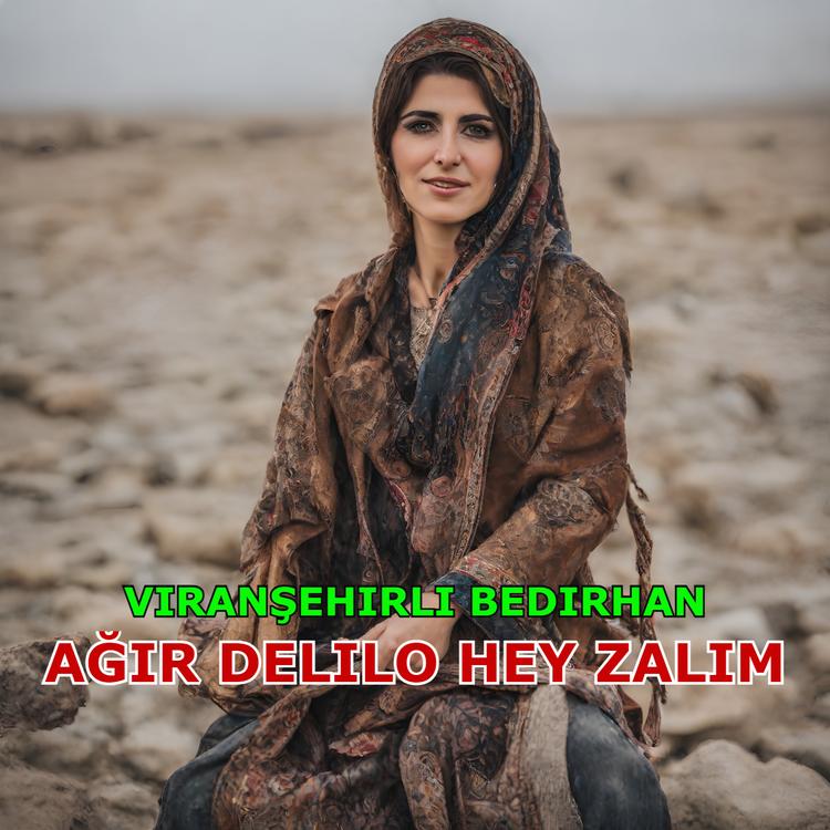 Viranşehirli Bedirhan's avatar image
