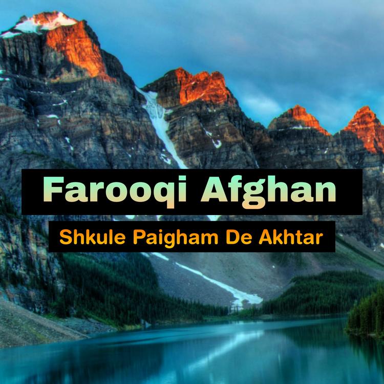 Farooqi Afghan's avatar image