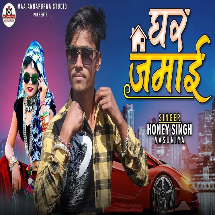 Honey Singh Vasuniya's avatar image