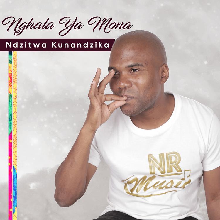 Nghala Ya Mona's avatar image