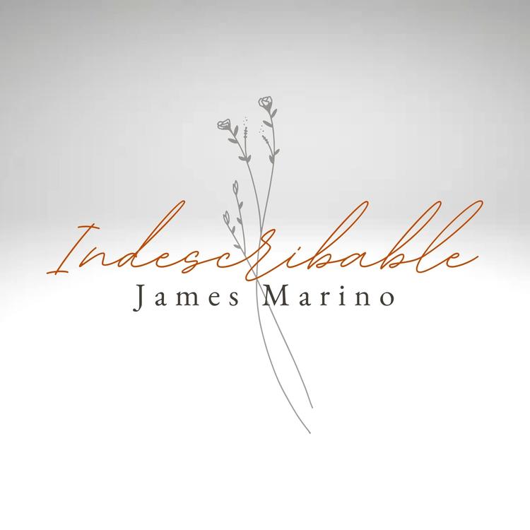 James Marino's avatar image