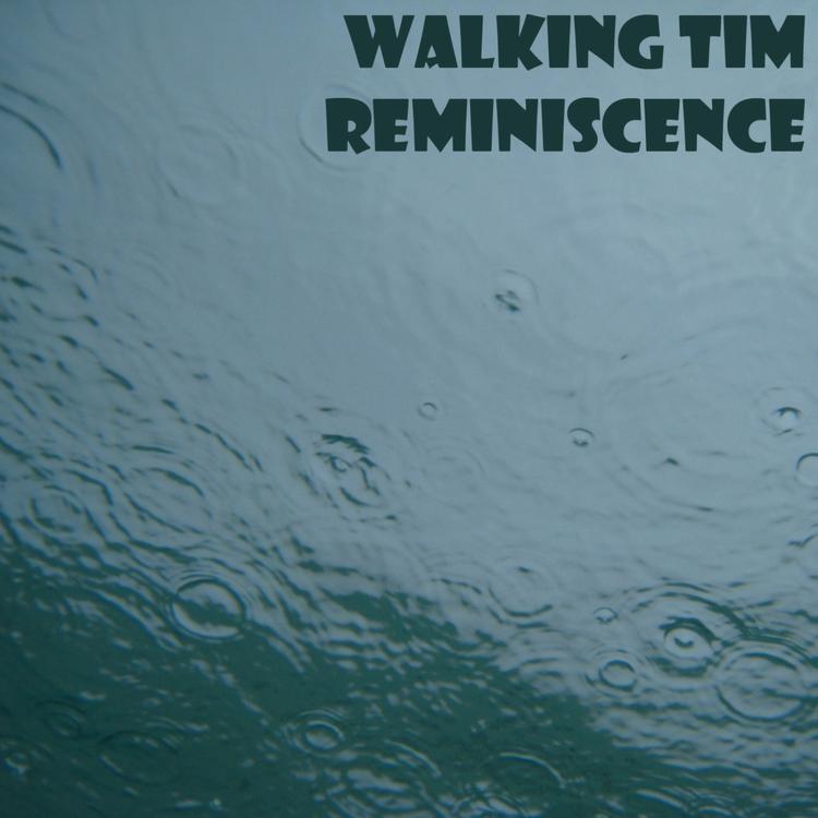 Walking Tim's avatar image
