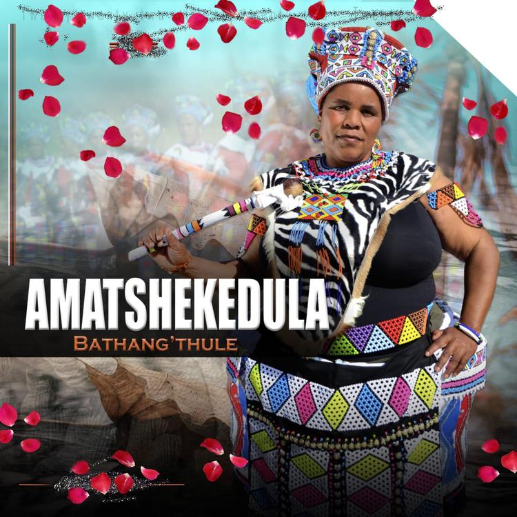 AMATSHEKEDULA's avatar image