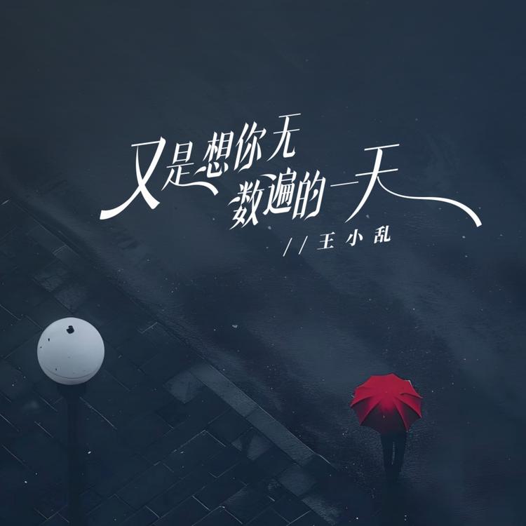 王小乱's avatar image