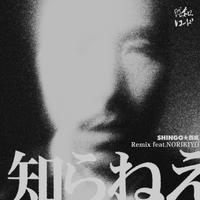 Shingo Nishinari's avatar cover