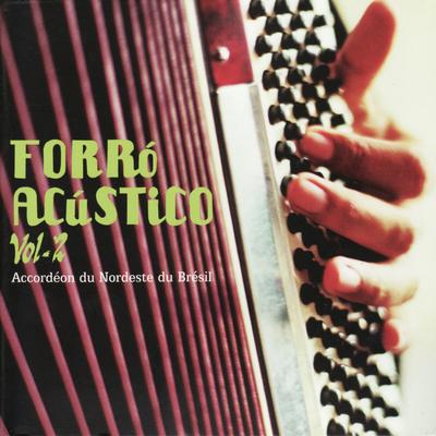 Forró Acústico Vol. 2 - Accordéon du Nordeste du Brésil's cover