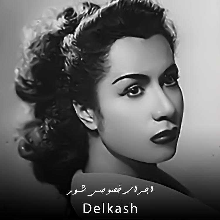 Delkash's avatar image