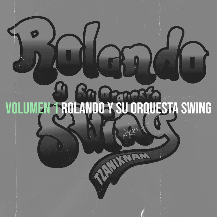 Rolando y su orquesta Swing's avatar image