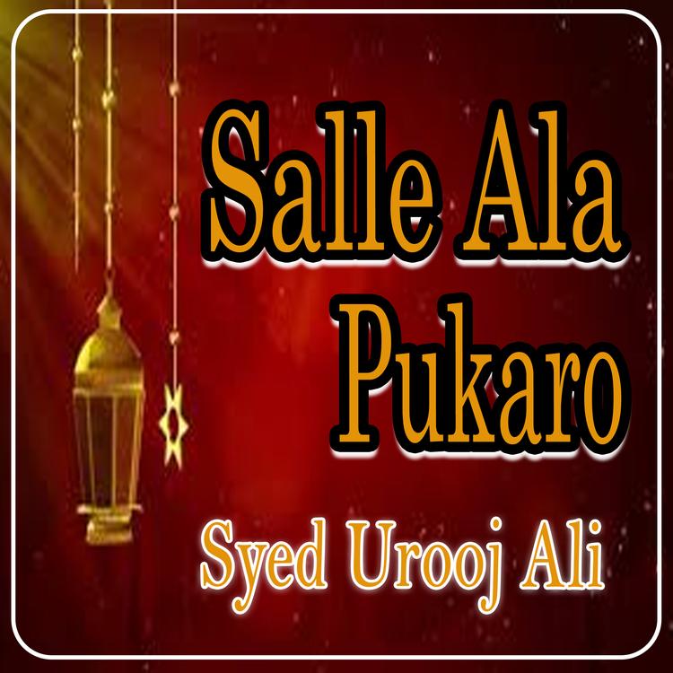 Syed Urooj Ali's avatar image