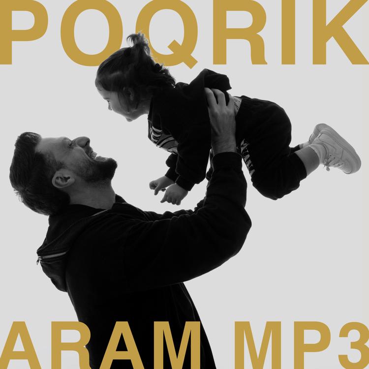 Aram MP3's avatar image
