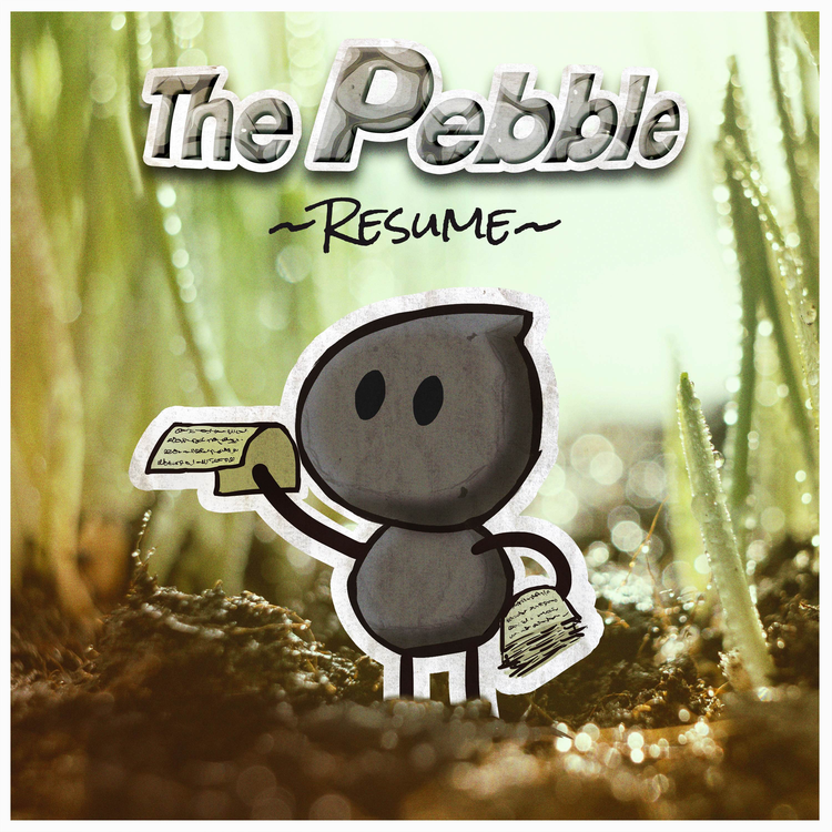 The pebble's avatar image