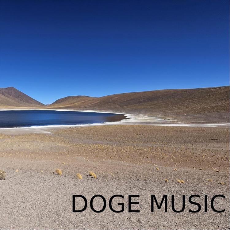 Doge Music's avatar image