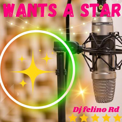 Wants a star (Versión instrumental) By DJ Felino RD's cover