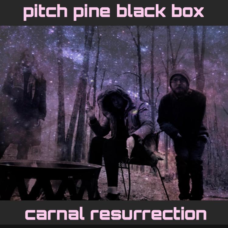 Pitch Pine Black Box's avatar image
