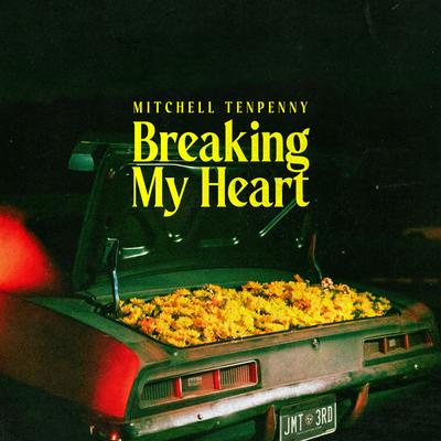 Breaking My Heart By Mitchell Tenpenny's cover