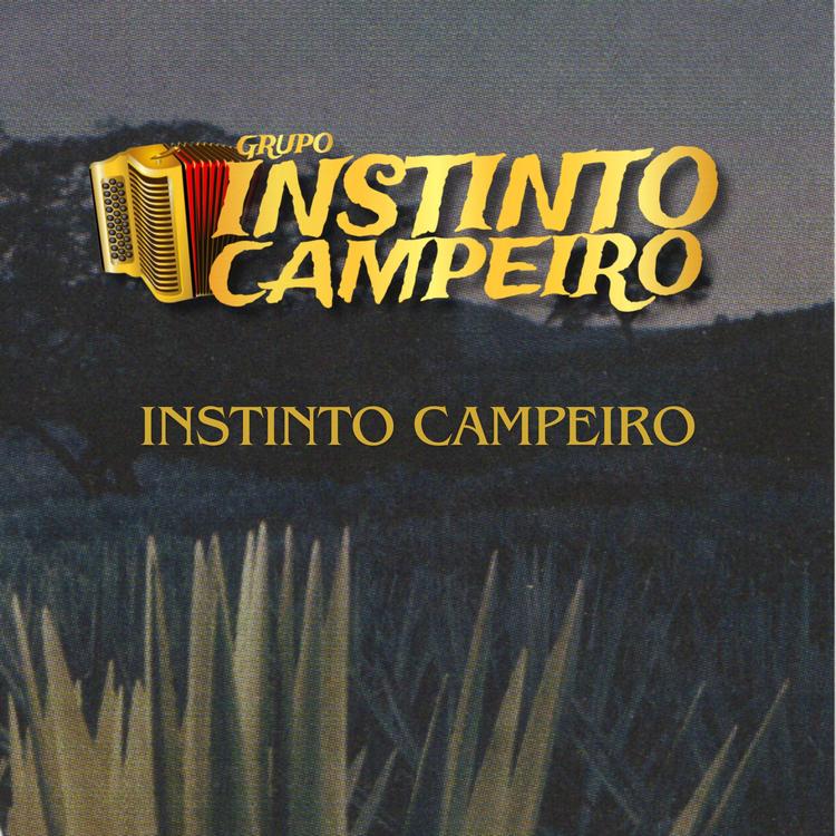 Grupo Instinto Campeiro's avatar image