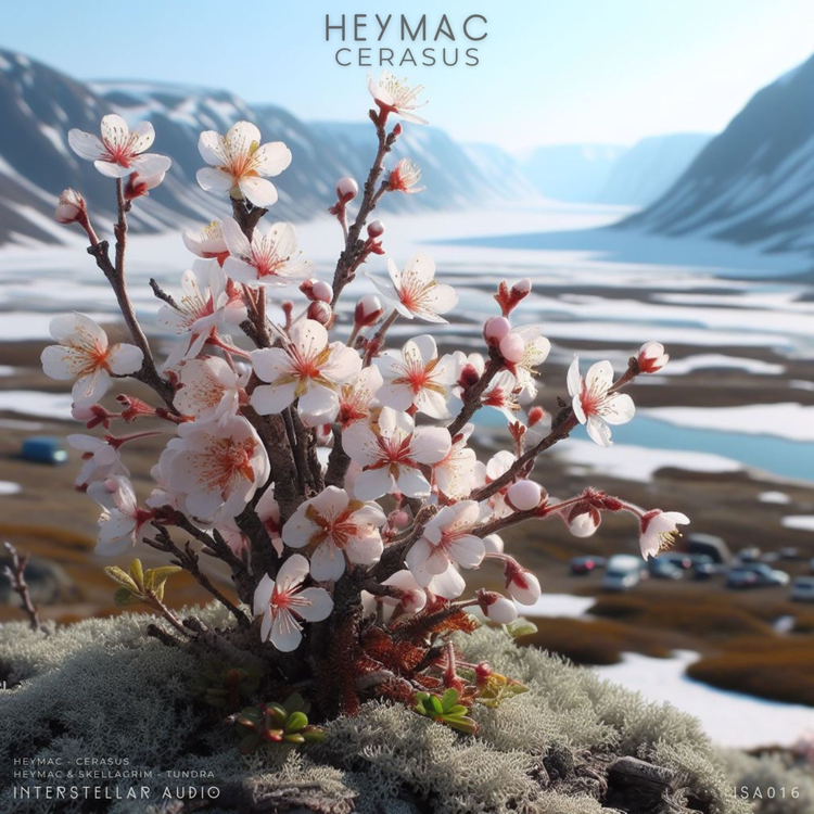 Heymac's avatar image
