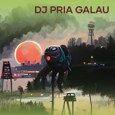 Dj Pria Galau's cover