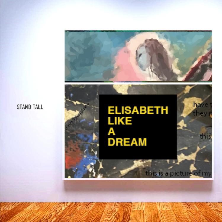 Elisabeth Like A Dream's avatar image