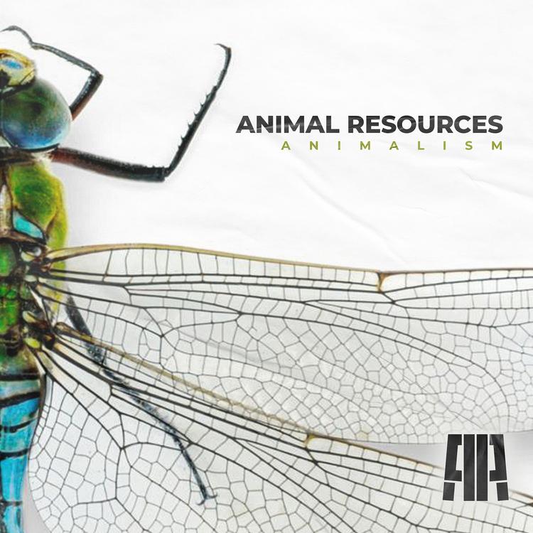 ANIMAL RESOURCES's avatar image