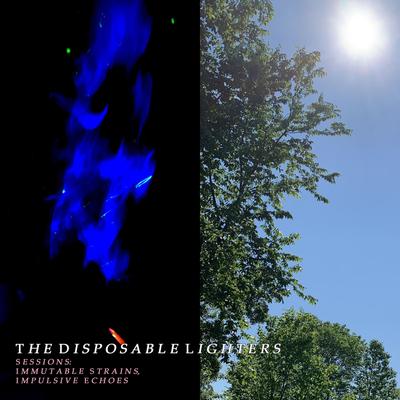 The Disposable Lighters's cover