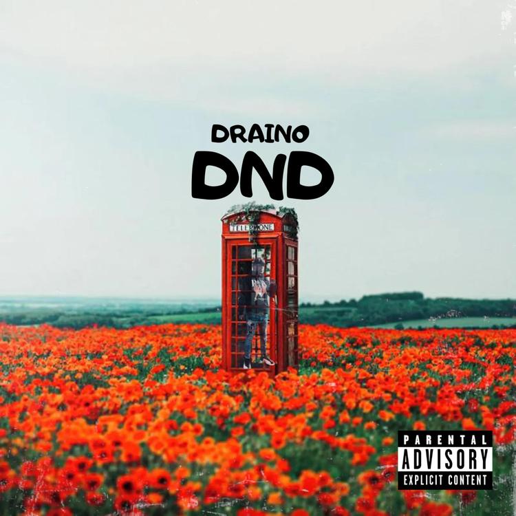 Draino's avatar image