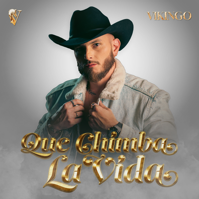 Vikingo's cover