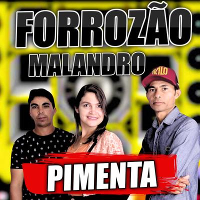 Forrozão Malandro's cover