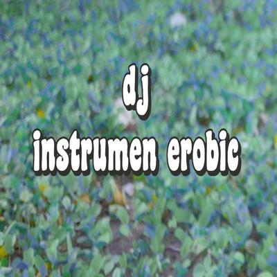 Dj Instrumen Erobic's cover