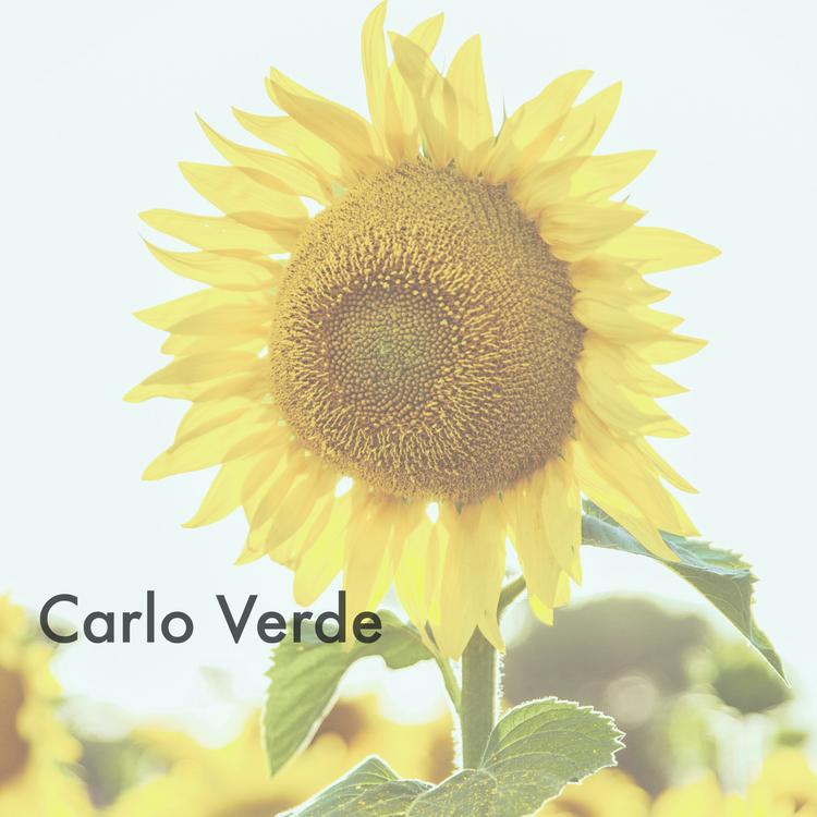 Carlo Verde's avatar image