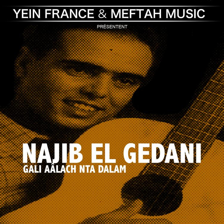 Najib El Gedani's avatar image