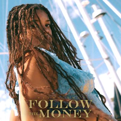 Follow The Money By Tiana Goss's cover